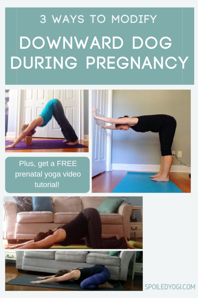 How to Modify Downward Facing Dog during Pregnancy - Spoiled Yogi